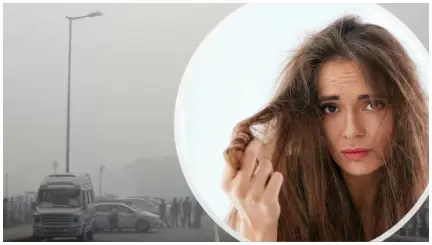 Poor AQI: How does air pollution affect our hair? Ways to protect your hair from damage | Beauty/Fashion News | Zee News Poor AQI: How does air pollution affect our hair? Ways to protect your hair from damage | Beauty/Fashion News | Zee News