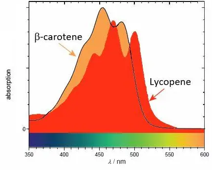 Concentration of Lycopene in Different Varieties of Tomatoes - Issuu