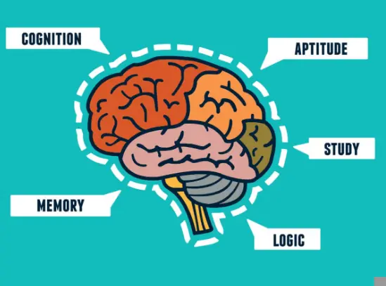 Optimum Health & Kolya | Get a Back-to-School Brain with Micro PQQ Optimum Health & Kolya | Get a Back-to-School Brain with Micro PQQ