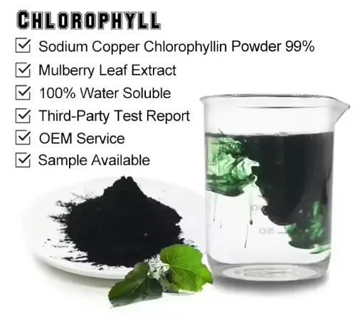 Hot Selling Natural Organic Chlorophyll Powder - 99% Pure Hot Selling Natural Organic Chlorophyll Powder - 99% Pure