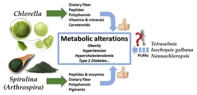 Edible Microalgae and Their Bioactive Compounds in the Prevention and Treatment of Metabolic Alterations Edible Microalgae and Their Bioactive Compounds in the Prevention and Treatment of Metabolic Alterations