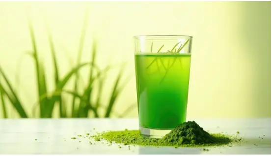 News – Chlorophyll Water News – Chlorophyll Water