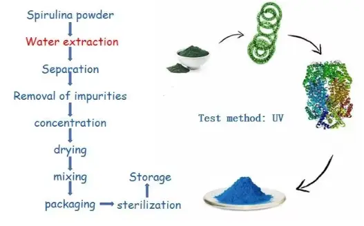 blue spirulina powder manufacturer