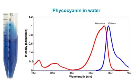 blue spirulina powder manufacturer