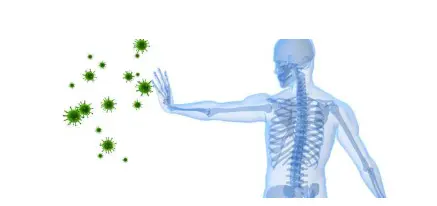 Human immune system | Healthengine Blog