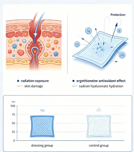 Ergothioneine–Sodium Hyaluronate Dressing: A Promising Approach for Protecting against Radiation-Induced Skin Injury | ACS Applied Materials & Interfaces Ergothioneine–Sodium Hyaluronate Dressing: A Promising Approach for Protecting against Radiation-Induced Skin Injury | ACS Applied Materials & Interfaces