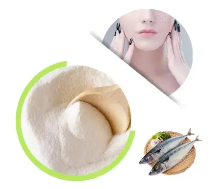 collagen powder manufacturer
