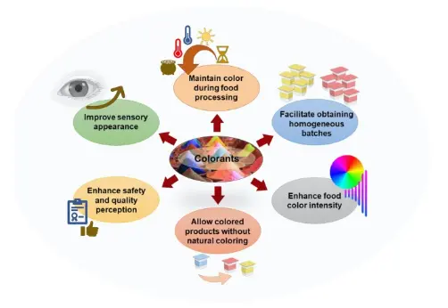 Recent advancements in natural colorants and their application as coloring  in food and in intelligent food packaging - ScienceDirect