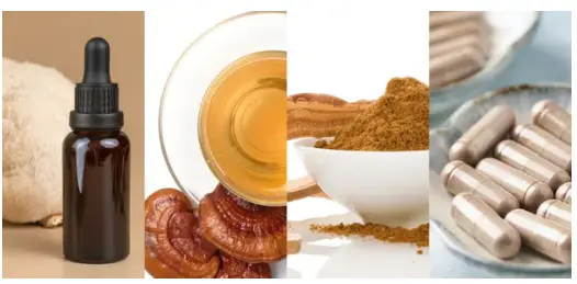 Fruiting Body vs. Mycelium - Which Mushroom Extract Is Right for You Fruiting Body vs. Mycelium - Which Mushroom Extract Is Right for You
