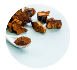 Organic Chaga Mushroom Powder | Antioxidant-Rich Superfood Gluten-Free Organic Chaga Mushroom Powder | Antioxidant-Rich Superfood Gluten-Free
