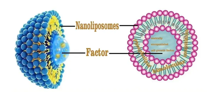 Liposal NAD+ powder supplier
