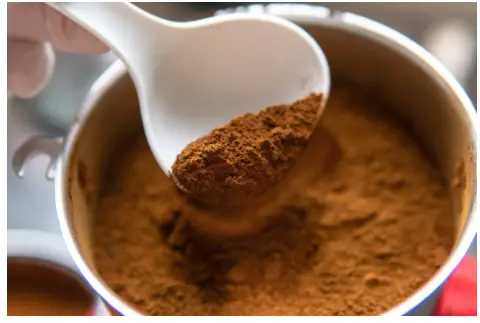 New insights into Chaga mushroom's mechanisms for fighting oral cancer
