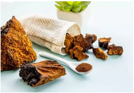 4 Benefits of Chaga Mushrooms