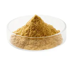 FucoBalan® Fucoxanthin Powder Suppplier | Hi-Q Marine Biotech International Ltd FucoBalan® Fucoxanthin Powder Suppplier | Hi-Q Marine Biotech International Ltd