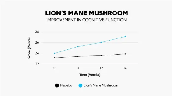 Cognitive function enhancement. A chart demonstrating improvement in cognitive function linked with Lion’s mane in clinical research. Cognitive function enhancement. A chart demonstrating improvement in cognitive function linked with Lion’s mane in clinical research.