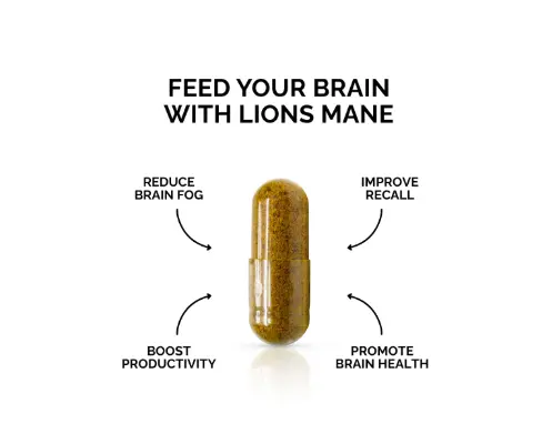 Australian Lion's Mane Mushroom Capsules | Forest Super Foods