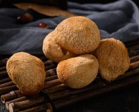 Lions Mane Mushroom Images – Browse 13,899 Stock Photos, Vectors, and Video | Adobe Stock