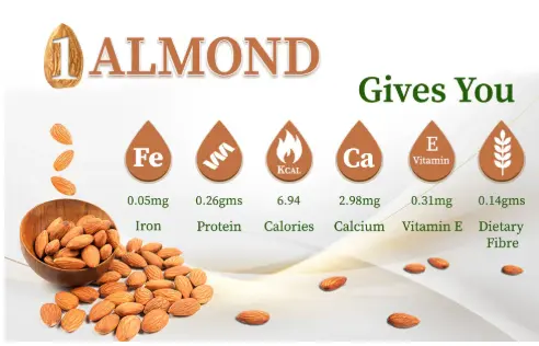Buy Almonds Online at Best Prices in India – Organic Gyaan Buy Almonds Online at Best Prices in India – Organic Gyaan