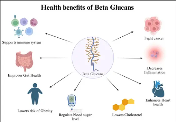 oat beta-glucan powder supplier