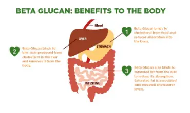 NCS on X: "Eating #oat #betaglucan regularly helps maintain normal blood # cholesterol. https://t.co/81US5eCirE" / X