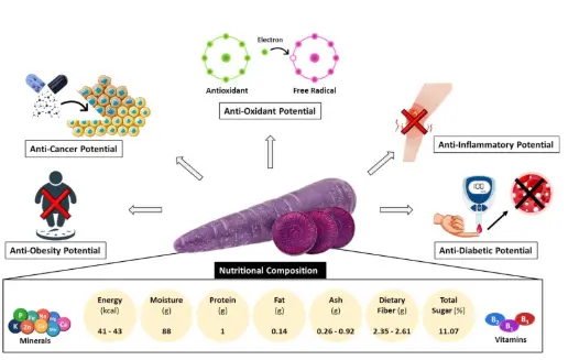product-1-1 What are the benefits of black carrots powder? - YanggeBiotech