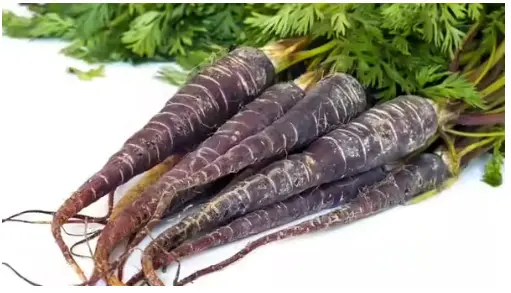 Black carrots powder supplier