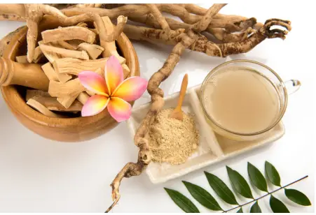 Why Does Tongkat Ali Taste So Bitter? – Vinatura Supplements