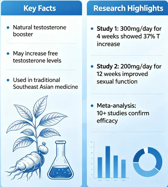 Tongkat Ali on Testosterone Booster: Facts & Research - Akarali Tongkat Ali on Testosterone Booster: Facts & Research - Akarali