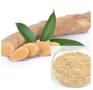 Tongkat Ali extract supplier