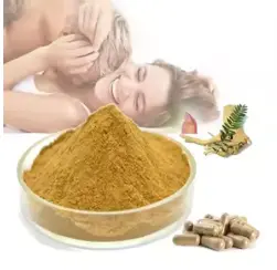 Tongkat Ali Extract Tongkat Ali Extract