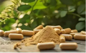 Tongkat Ali Extract Tongkat Ali Extract