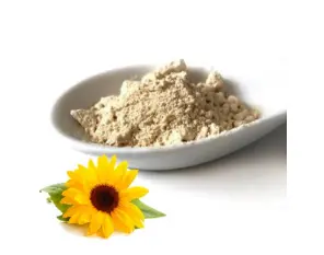 Sunflower lecithin powder supplier Sunflower lecithin powder supplier