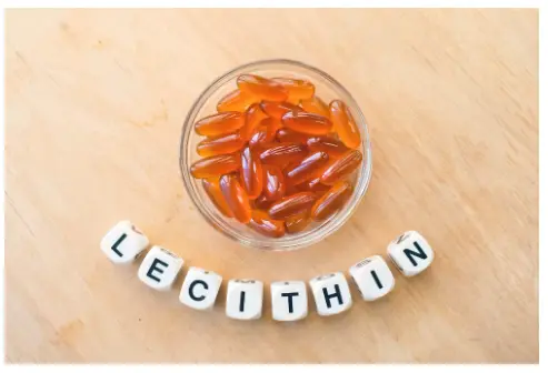Sunflower lecithin powder supplier