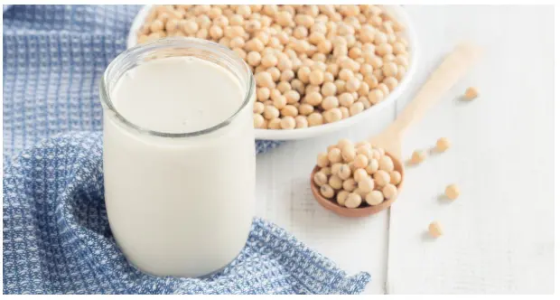 Soy lecithin supplier