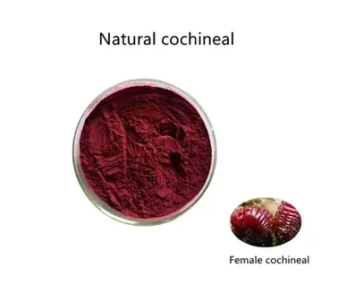 Cochineal red powder Manufacturer