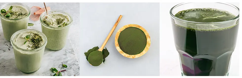 chlorella powder supplier chlorella powder supplier