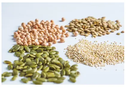 Pumpkin seed protein powder supplier Pumpkin seed protein powder supplier
