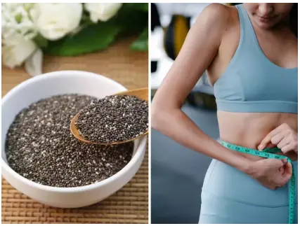 Chia Seeds Powder supplier Chia Seeds Powder supplier