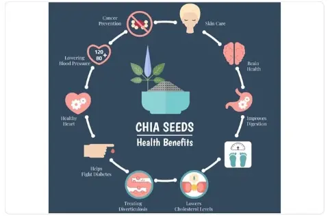 Chia Seeds Powder supplier Chia Seeds Powder supplier