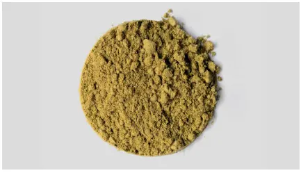hemp protein powder supplier