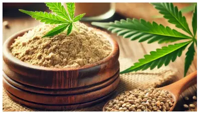 Hemp Protein Market Insights: Rising Demand and Innovations in Plant-Based  Nutrition