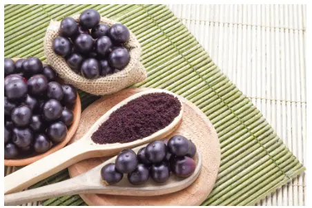 acai berry powder supplier