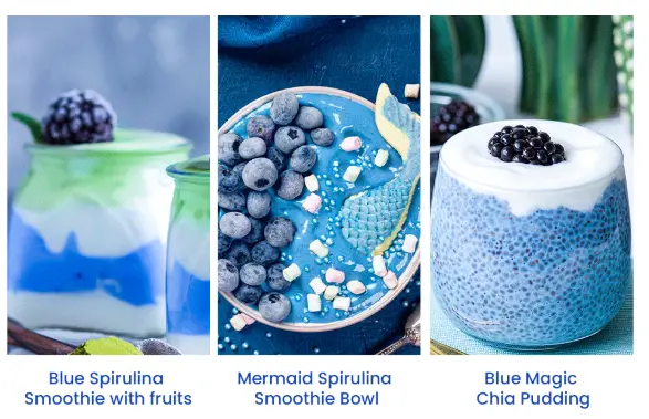 Amazon.com: Organic Blue Spirulina Powder - 8oz - Odorless - from Blue  Green Algae - Vegan, Non GMO, Gluten-Free, Dairy-Free - USDA Certified  Natural Blue Coloring for Smoothies & Protein Drinks :