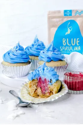 Bulk Blue Spirulina 500g - Bulk and Wholesale Available – The Organic Labs Sweden AB Bulk Blue Spirulina 500g - Bulk and Wholesale Available – The Organic Labs Sweden AB