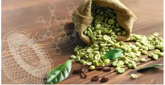 Agwa kọfị Green Green: nkwalite okike maka ahụike na ịdị mma - YanggeBiotech