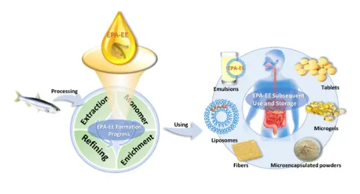 Highly Valuable Fish Oil: Formation Process, Enrichment, Subsequent Utilization, and Storage of Eicosapentaenoic Acid Ethyl Esters Highly Valuable Fish Oil: Formation Process, Enrichment, Subsequent Utilization, and Storage of Eicosapentaenoic Acid Ethyl Esters
