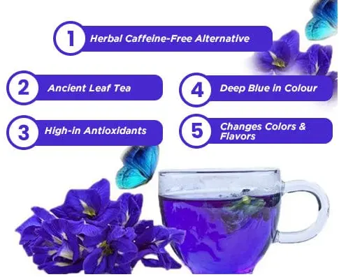 10 Extraordinary Health Benefits of Blue Tea — Dr Trust