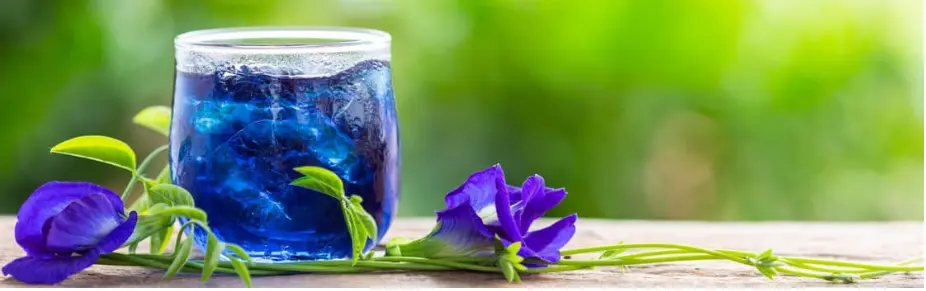 Ingredient: Butterfly Pea Flower