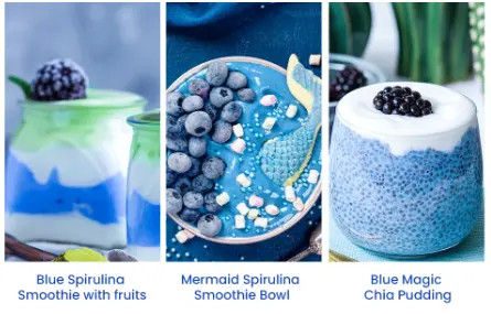 Amazon.com: Organic Blue Spirulina Powder - 8oz - Odorless - from Blue Green Algae - Vegan, Non GMO, Gluten-Free, Dairy-Free - USDA Certified Natural Blue Coloring for Smoothies & Protein Drinks :