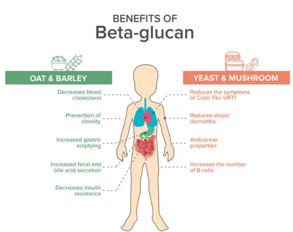 Clinical benefits of β-glucan supplementation in children: a review | Discover Food Clinical benefits of β-glucan supplementation in children: a review | Discover Food